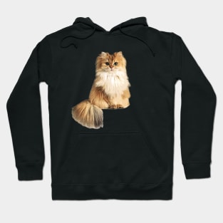 British Longhair Cat Hoodie